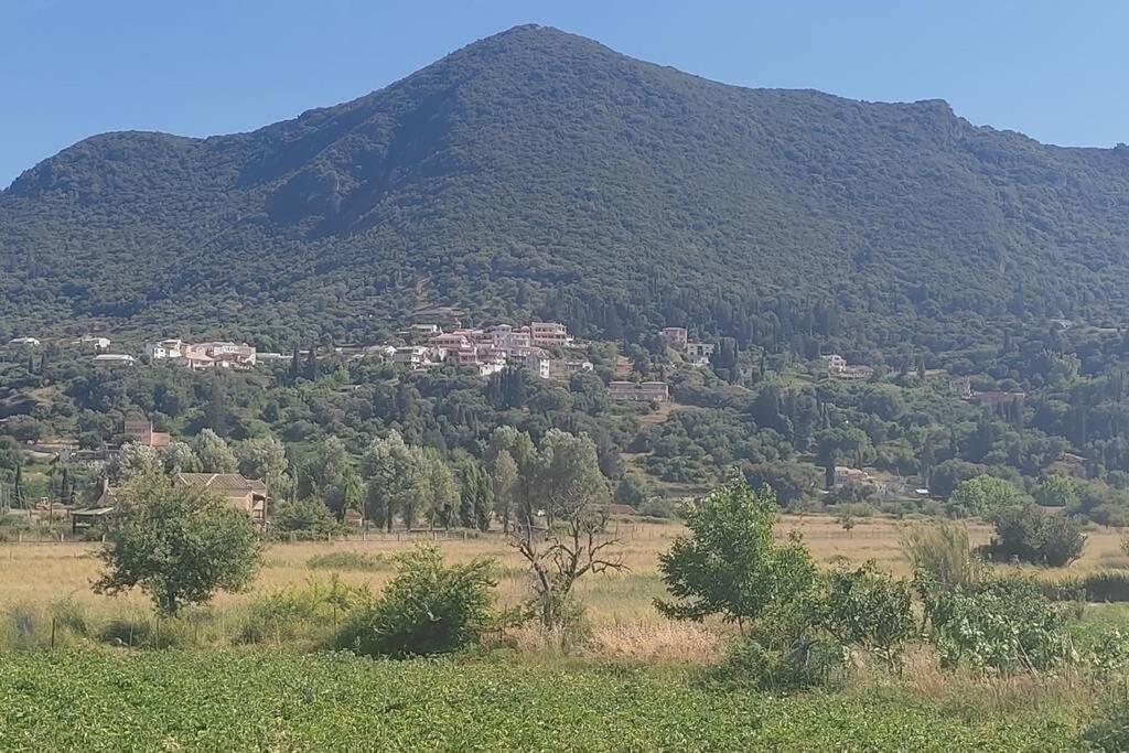 Vatos 2 Bedroom Apartment Dış mekan fotoğraf